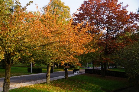Bad Sassendorf
